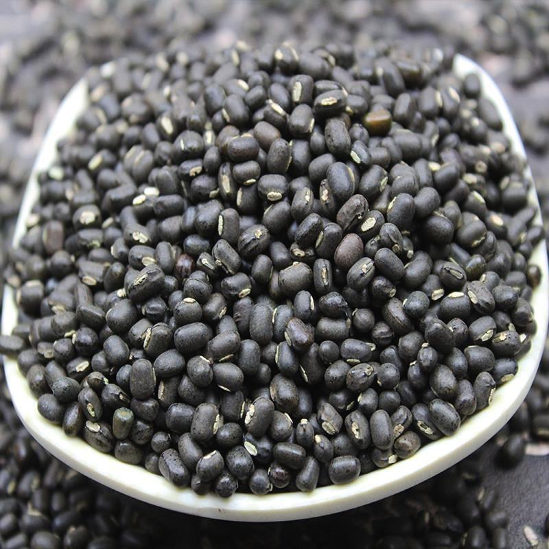 黑绿豆黑皮绿豆新货非转基因黑小绿豆农家自种整箱包邮