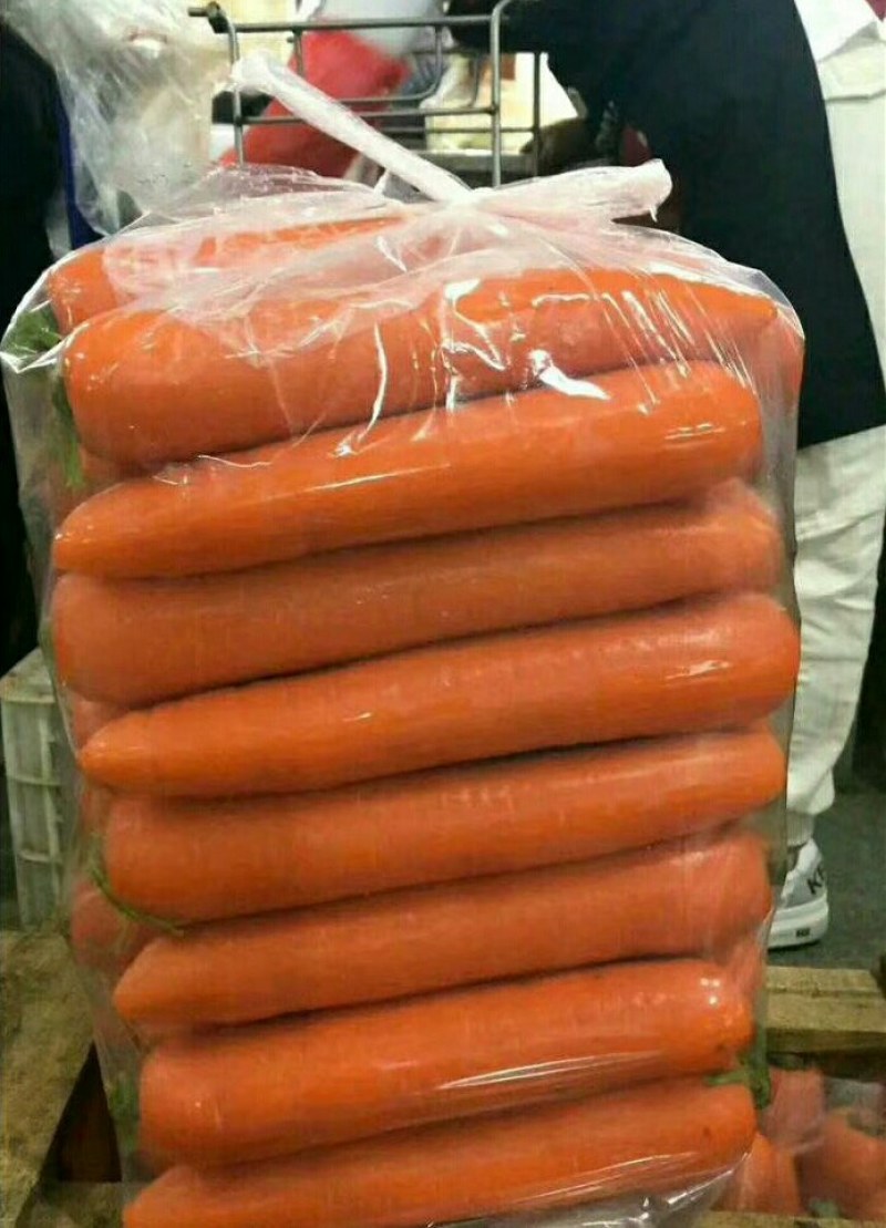 精品，水洗中条，三红胡萝卜，水洗中条，和干装