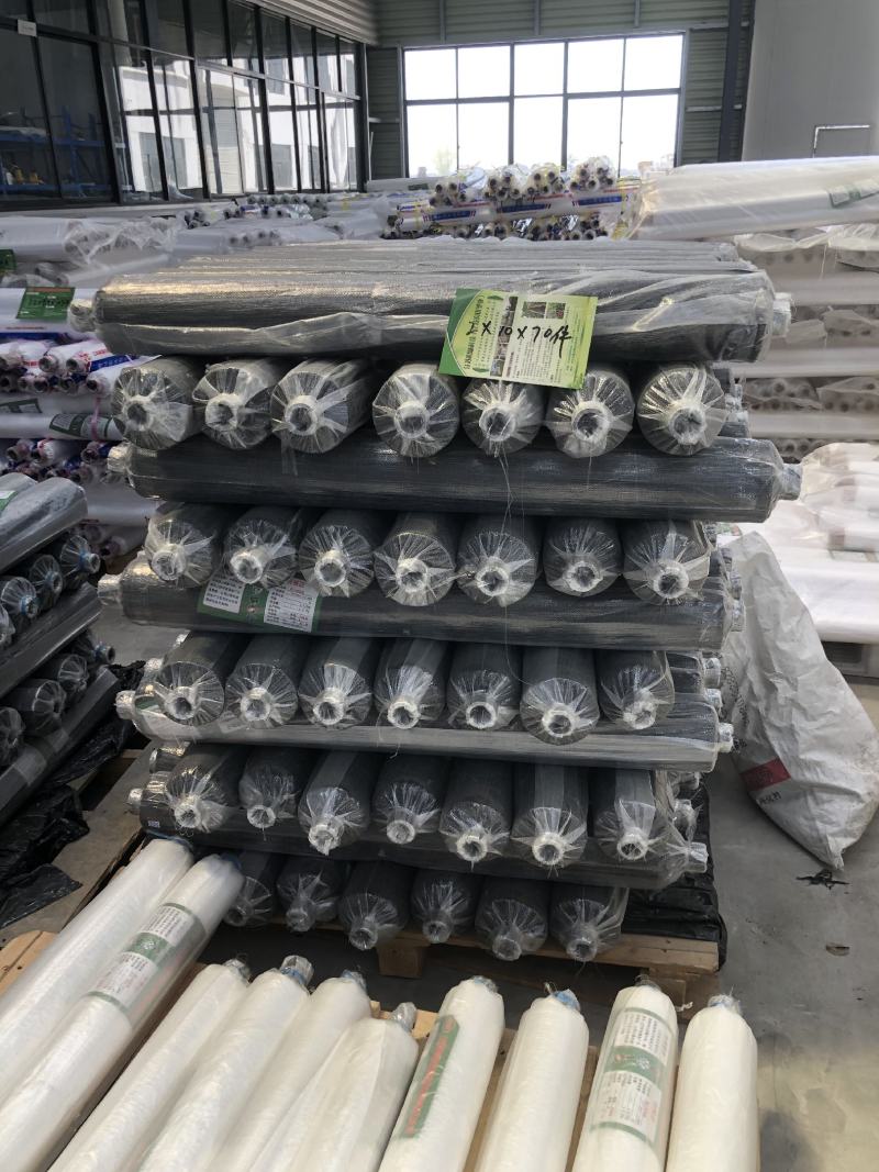 银灰色银黑色双色地膜防草保湿黑色地膜白色地膜润田塑业