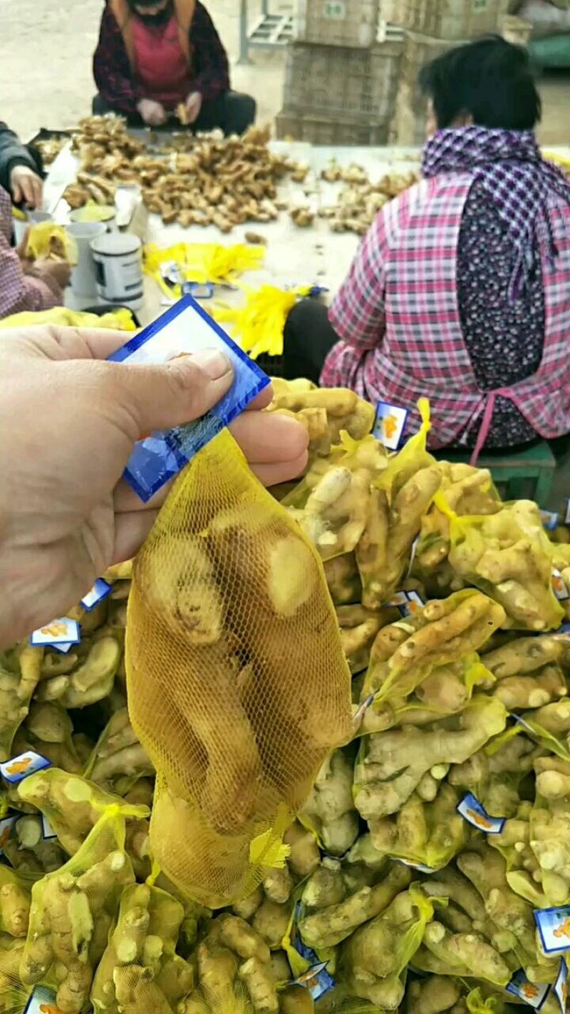 优选山东优质生姜，产地，辣味十足，货源充足，价格便宜