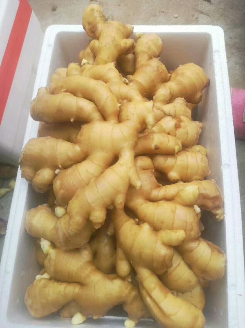优选山东优质生姜，产地，辣味十足，货源充足，价格便宜