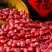 【红小豆新货】红豆农家自产五谷杂粮多规格可选整箱包邮
