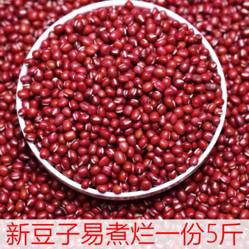【红小豆新货】红豆农家自产五谷杂粮多规格可选整箱包邮