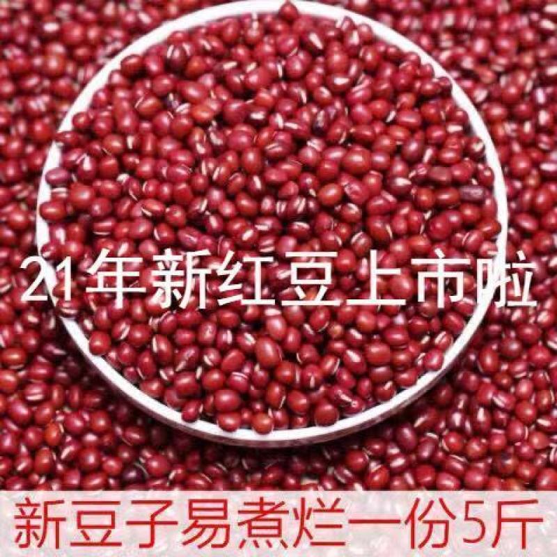 【红小豆新货】红豆农家自产五谷杂粮多规格可选整箱包邮