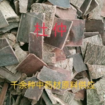 杜仲，中药材杜仲皮，炒杜仲杜仲炭正品野生质量保证
