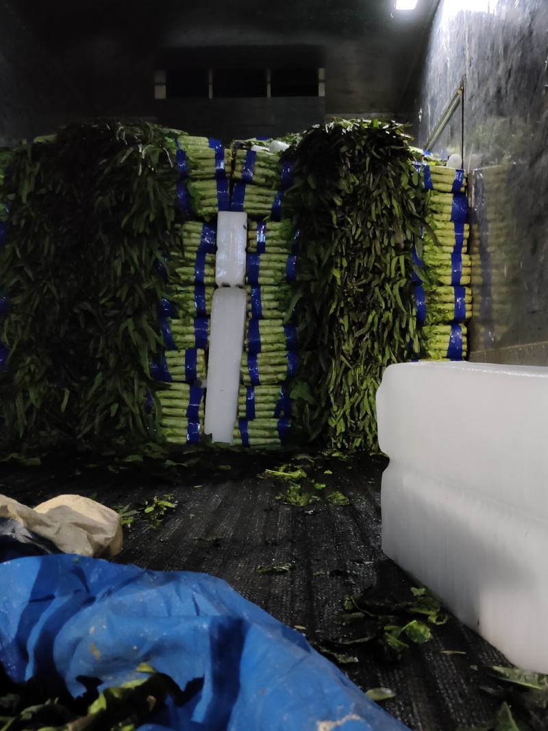 红莴笋红尖叶莴苣产地货源充足价格低质量好！
