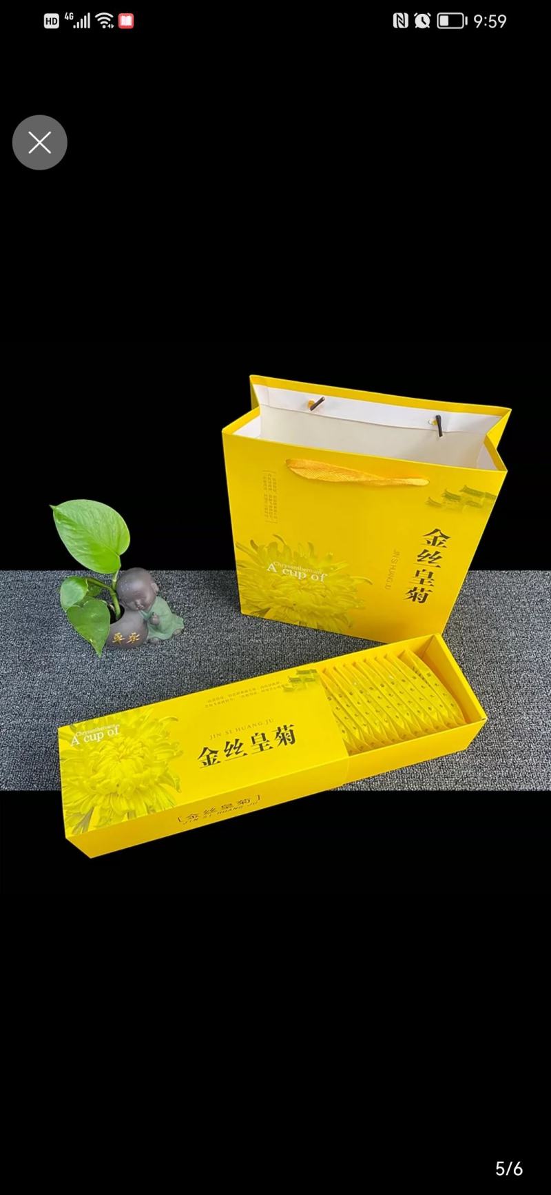 金丝皇菊