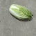 高山生态养生大白菜