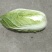 高山生态养生大白菜