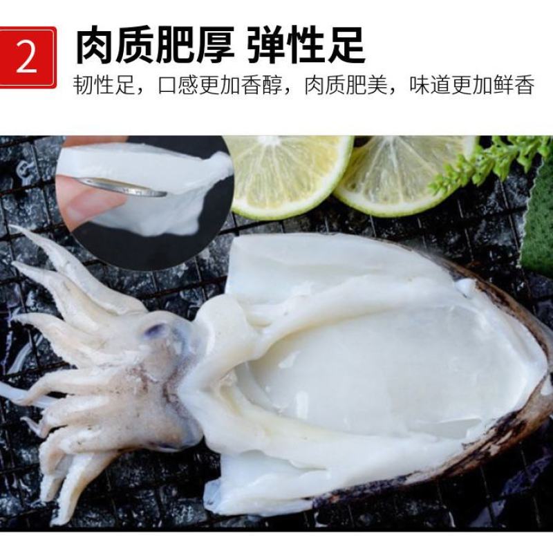 大墨鱼新鲜大乌贼目鱼墨斗鱼海捕墨鱼仔大号冷冻海鲜墨鱼