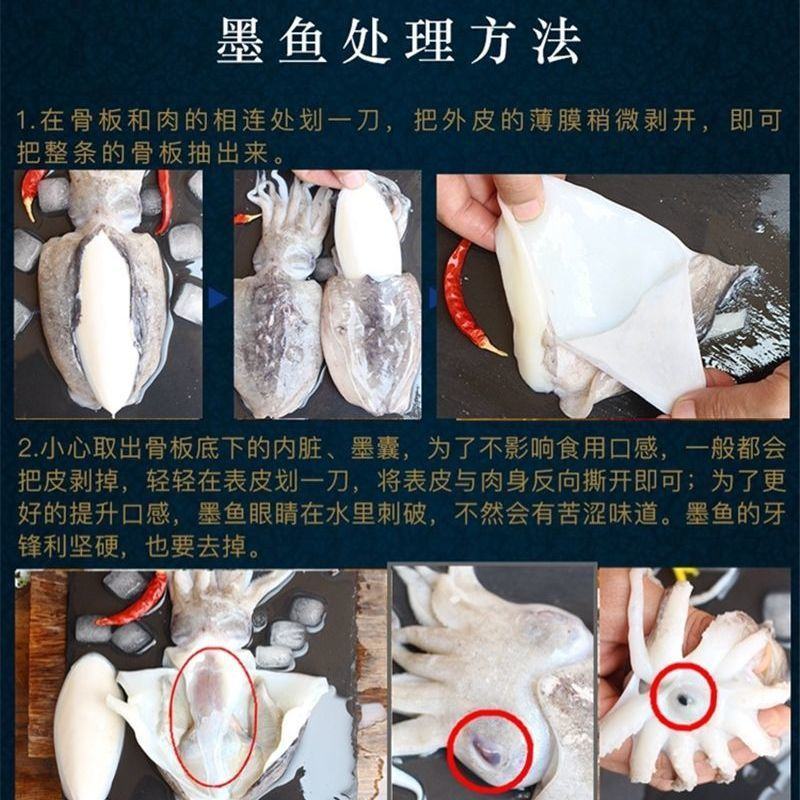 大墨鱼新鲜大乌贼目鱼墨斗鱼海捕墨鱼仔大号冷冻海鲜墨鱼