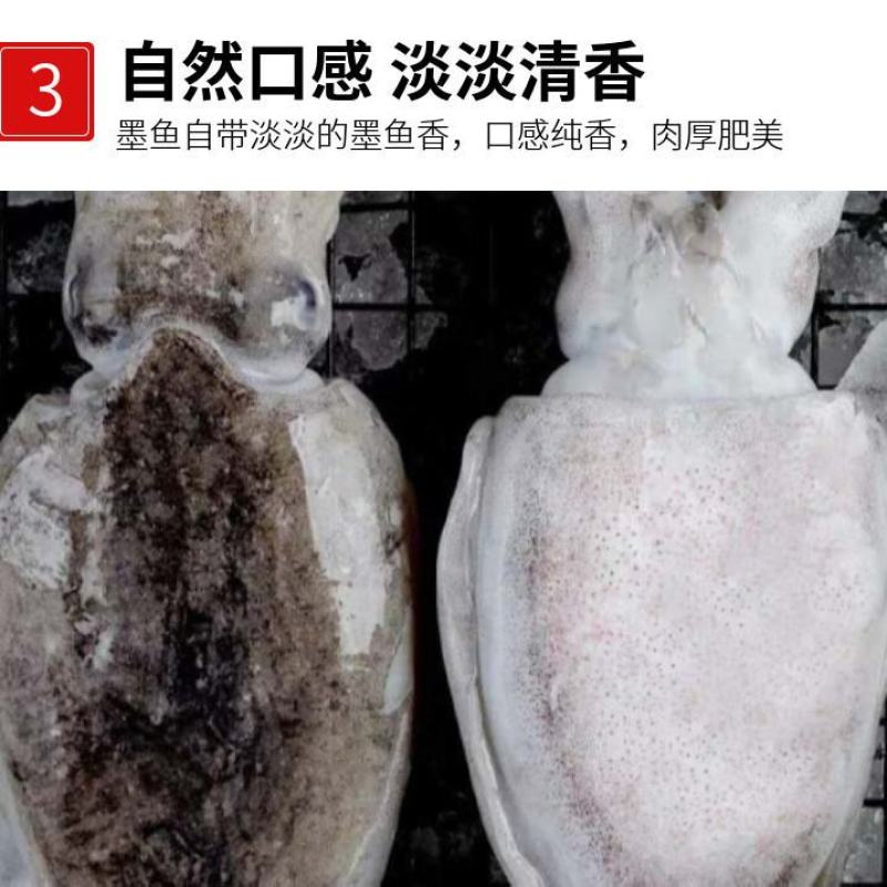 大墨鱼新鲜大乌贼目鱼墨斗鱼海捕墨鱼仔大号冷冻海鲜墨鱼
