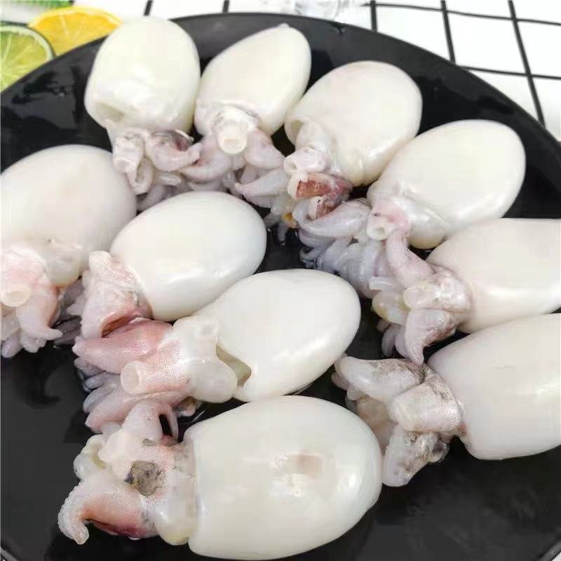 海鲜鲜活墨鱼仔冷冻小乌贼章鱼新鲜小墨鱼八爪鱼爆头烧烤火锅
