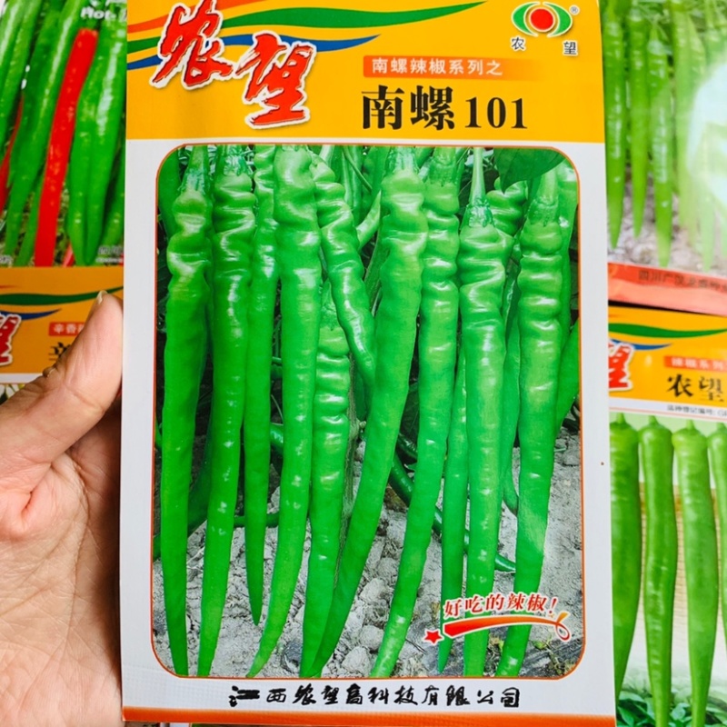农望南螺101杂交一代特色皱皮线椒种子皮薄质脆好吃的辣椒