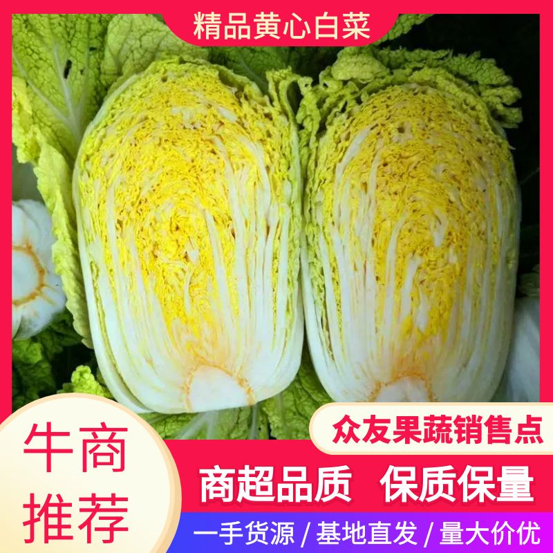 【推荐】湖南黄心白菜实力代办基地直发可视频看货