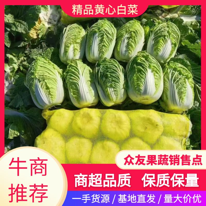 【推荐】湖南黄心白菜实力代办基地直发可视频看货