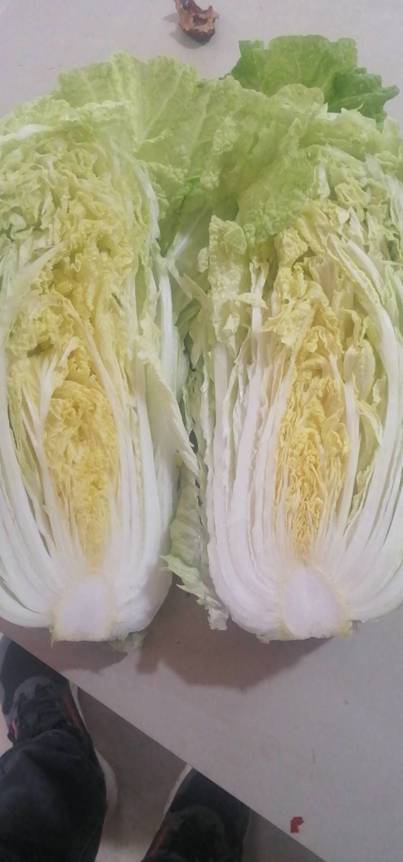黄心白菜青杂白菜，大量上市，3到8斤，一手货源，欢迎考察