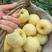 安徽砀山酥梨产地直发口感美味，对接全国市场以及商超热销