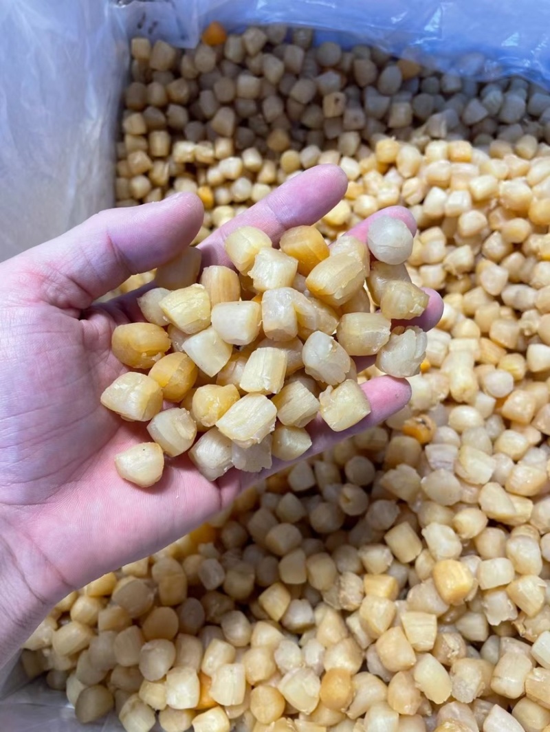 干贝山东产区直供大干贝瑶柱干净无沙规格齐全一手货源