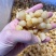 干贝山东产区直供大干贝瑶柱干净无沙规格齐全一手货源