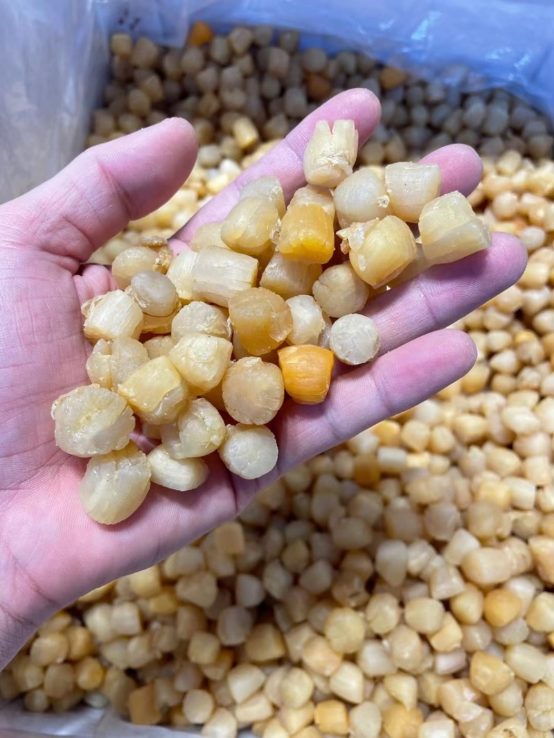 干贝山东产区直供大干贝瑶柱干净无沙规格齐全一手货源