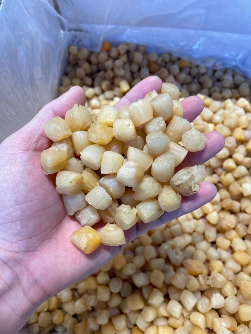 干贝山东产区直供大干贝瑶柱干净无沙规格齐全一手货源