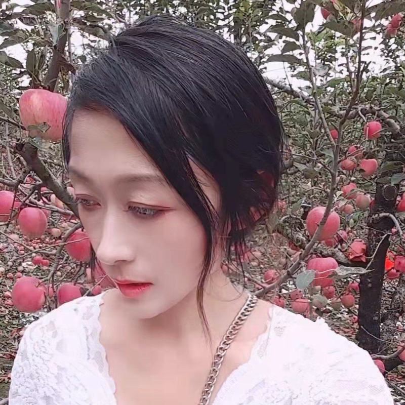 山东精品苹果看货定价的产地直销一手货源品质保证