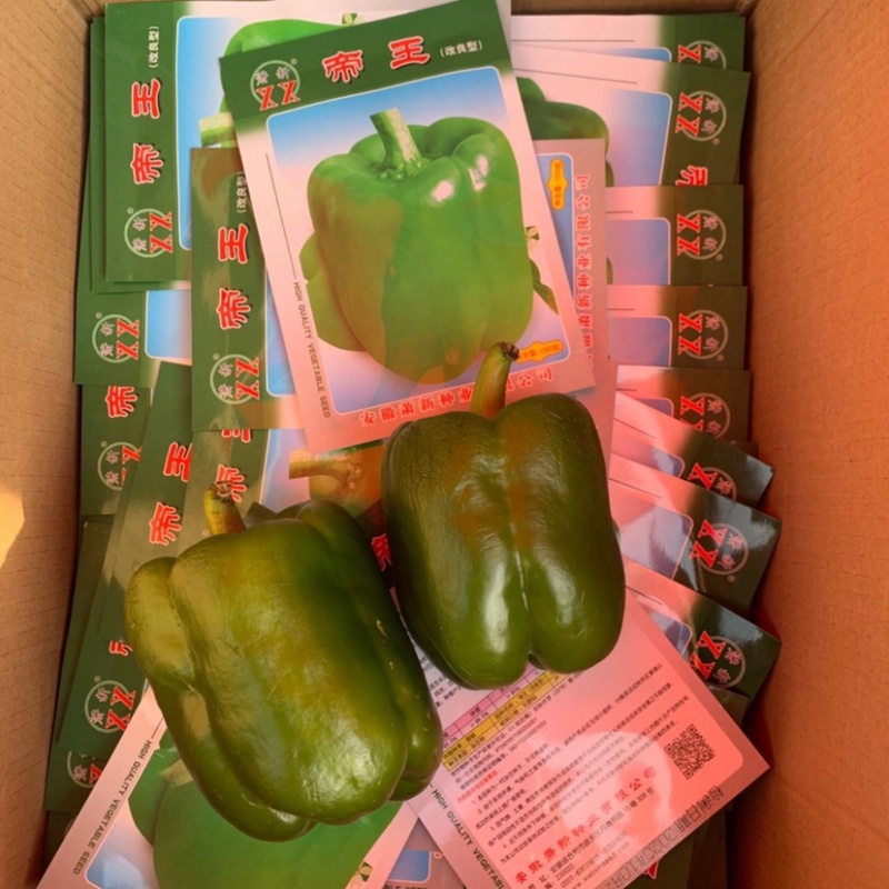 高抗病耐运输甜椒种子大果味甜质优，青绿色甜椒种籽