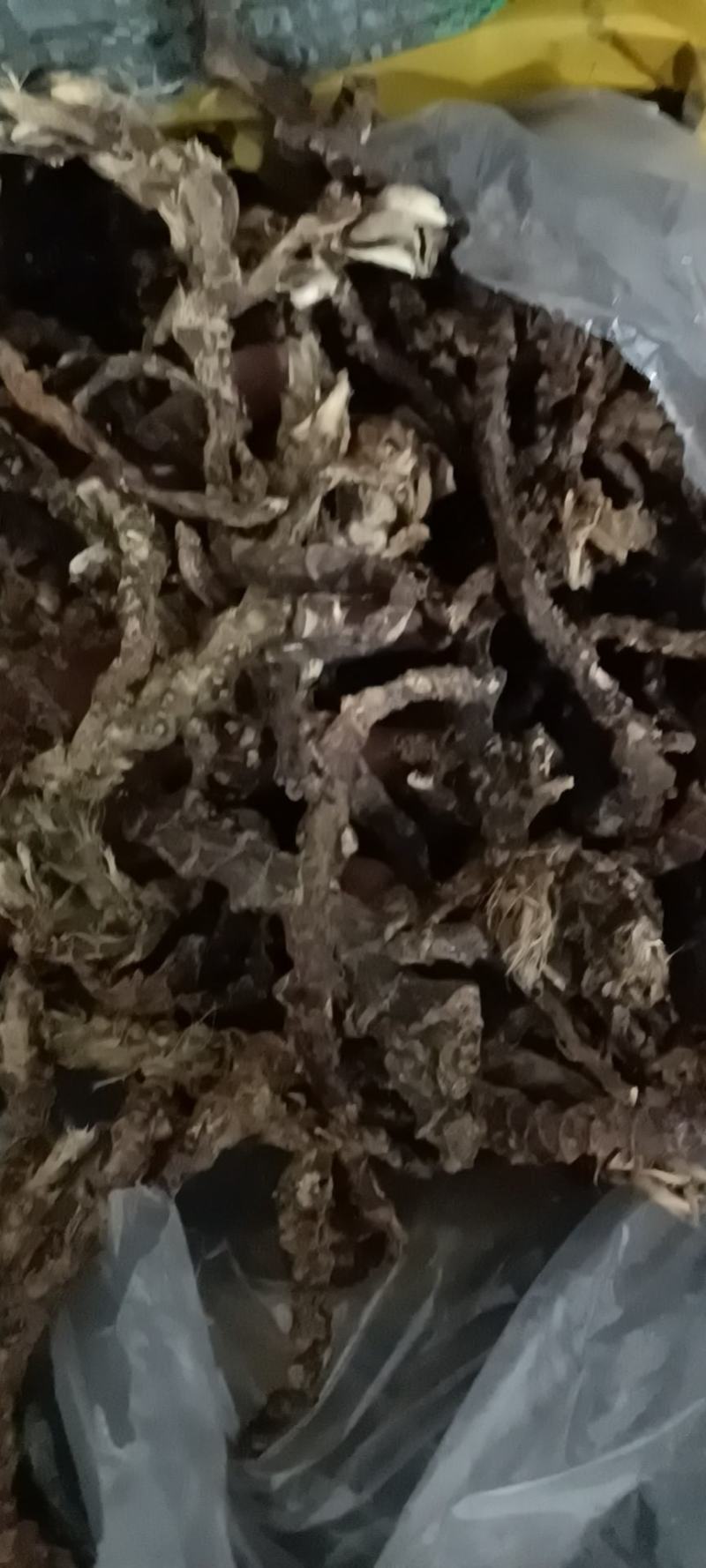 产地一手货源