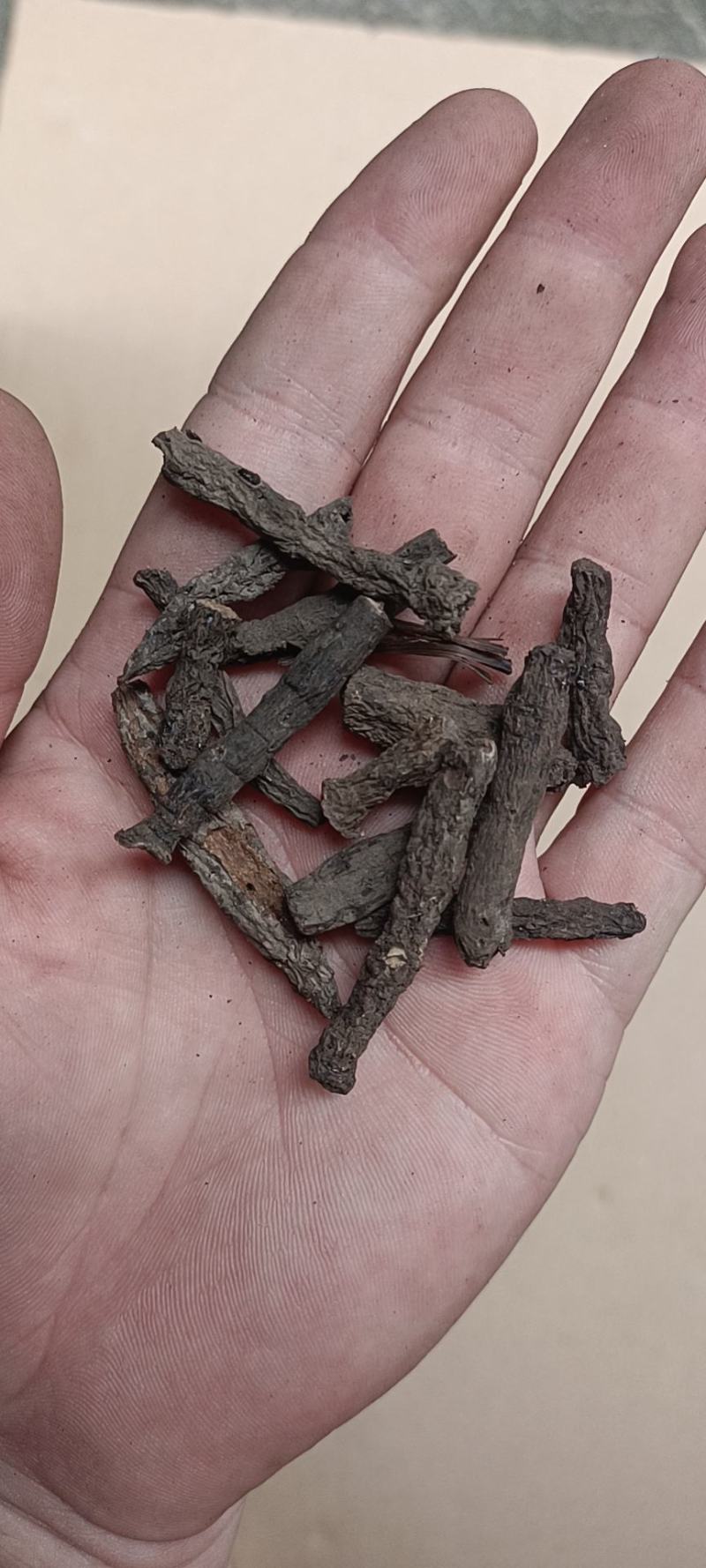 进口仙茅