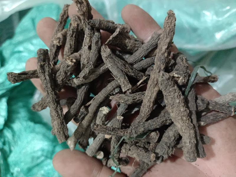 进口仙茅