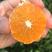 『一件玳发』金堂脐橙，高山脐橙，脐橙，对接电商微商