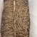 黄花菜新货干货5斤包邮一件20斤