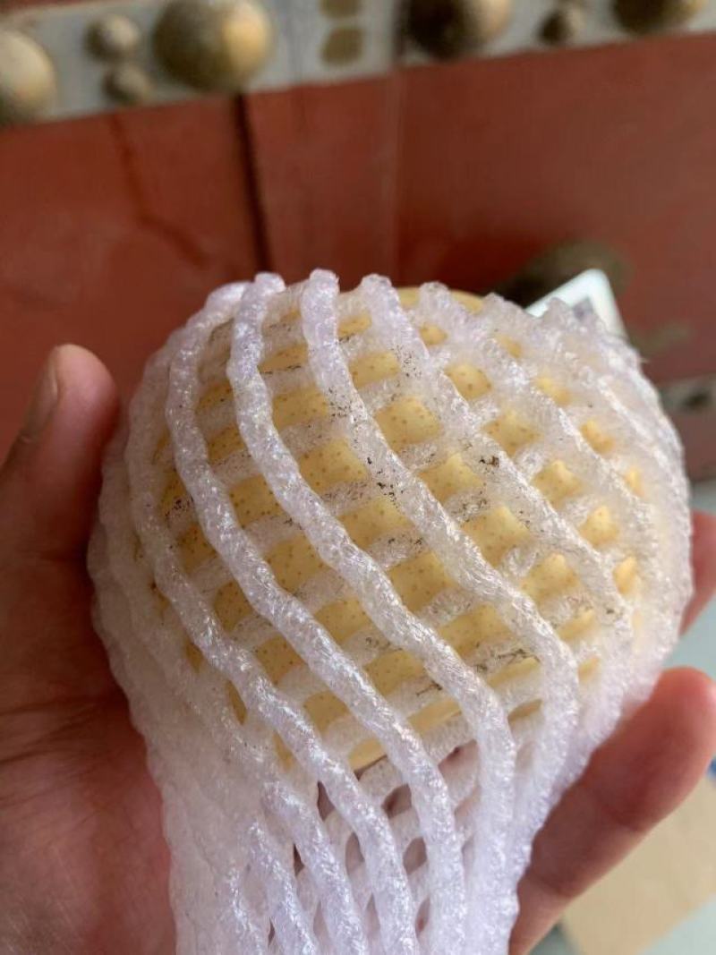 陕西蒲城酥梨大量有货，皮薄核小，汁多甜度高，产地直供！！