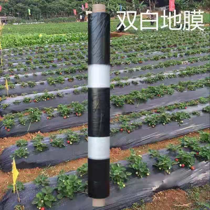 黑色，银灰，黑白双间，地膜抗老化除草保湿提高产量提高地温