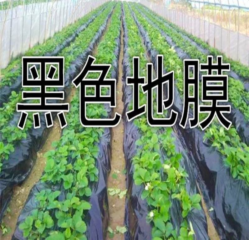 黑色，银灰，黑白双间，地膜抗老化除草保湿提高产量提高地温