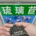 琉璃苣种子蓝色香草花卉花籽阳台庭院盆栽景观绿化种子