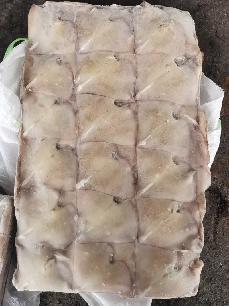 阿鱿鱿鱼尾船冻鱿鱼耳鱿鱼翅鱿鱼32斤一件原汁不缩水