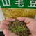 山毛豆种子白灰毛豆种籽道路护坡灌木山地造林荒地绿化