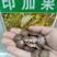 散装印加果种子南美油藤药材星油藤食用保健印奇果印加花生种