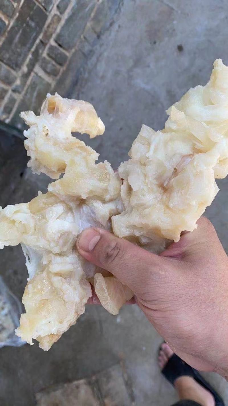 筒骨筋，剔骨筋纯干无油，飞水副筋！！！！！！！