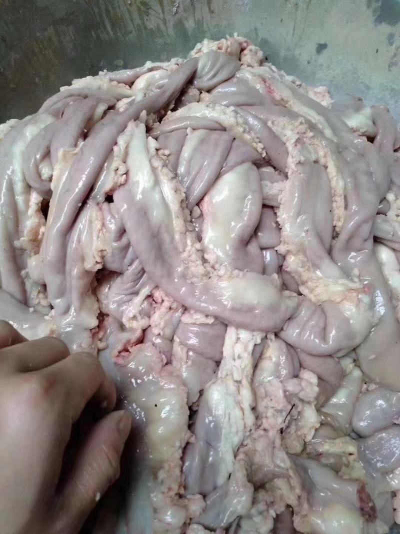新鲜牛粉肠…………………………………………