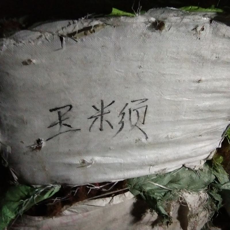 玉米须