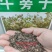 牛蒡种子四季播种牛蒡子种籽野生大力子阳台盆栽药材蔬菜种子