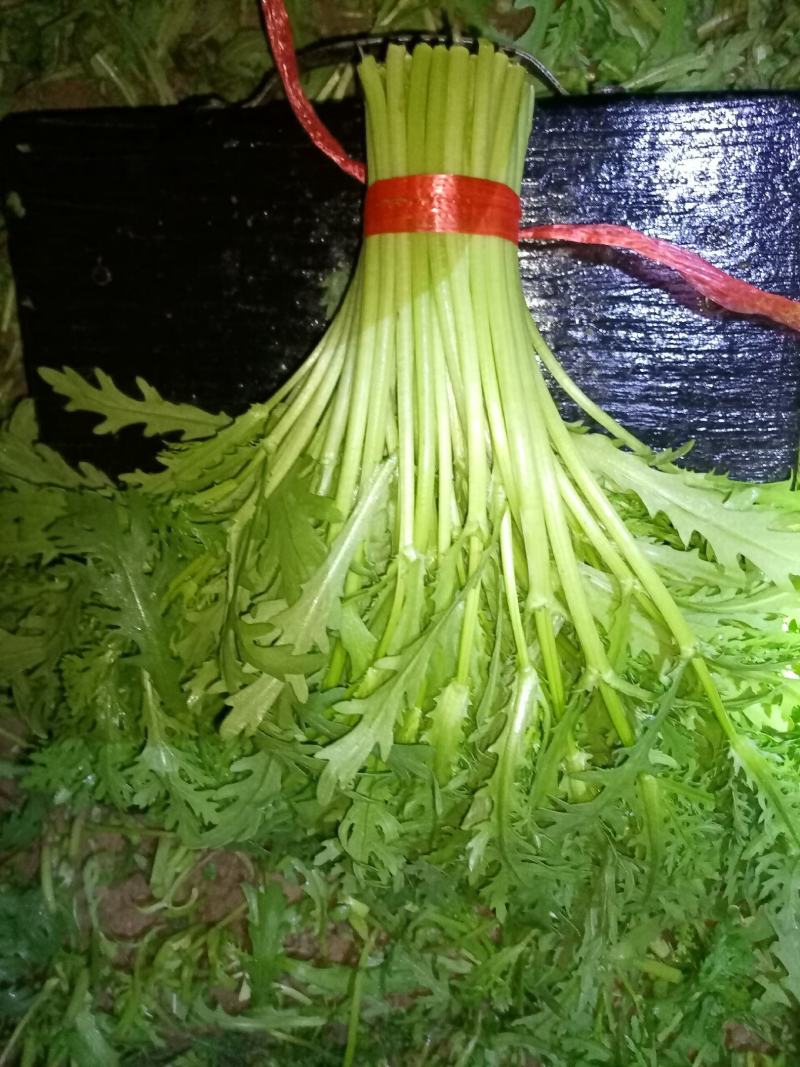 精品茼蒿