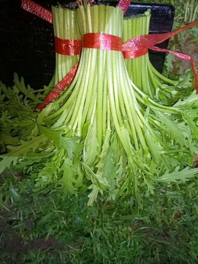 精品茼蒿