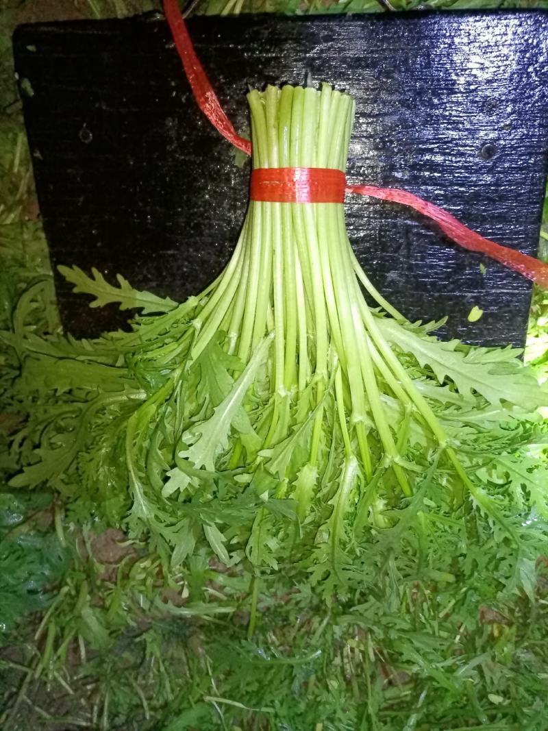 精品茼蒿