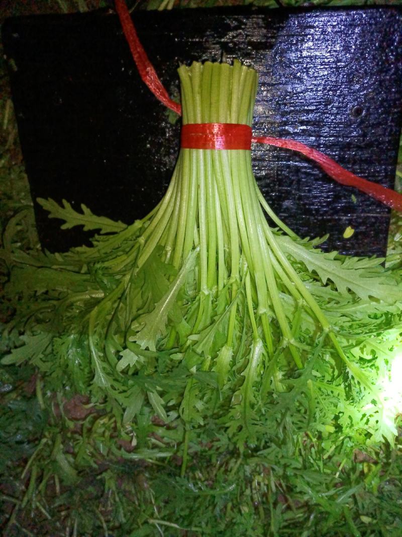 精品茼蒿