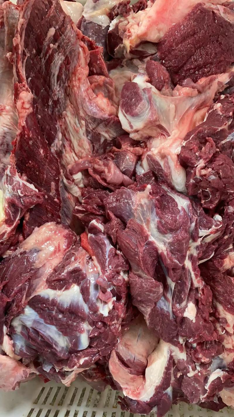 纯种德州改良现杀驴肉！