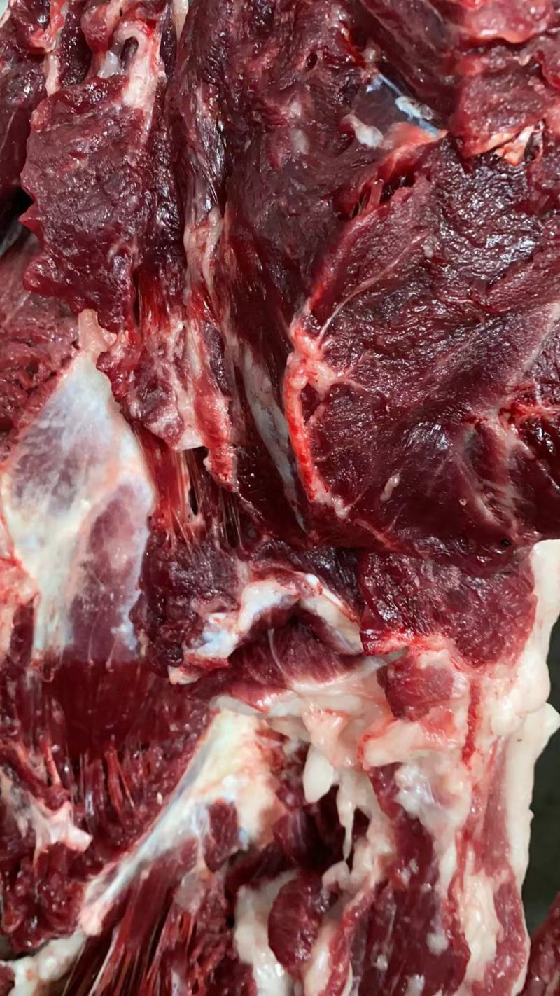 纯种德州改良现杀驴肉！